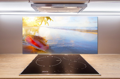 Cooker splashback Beach shell