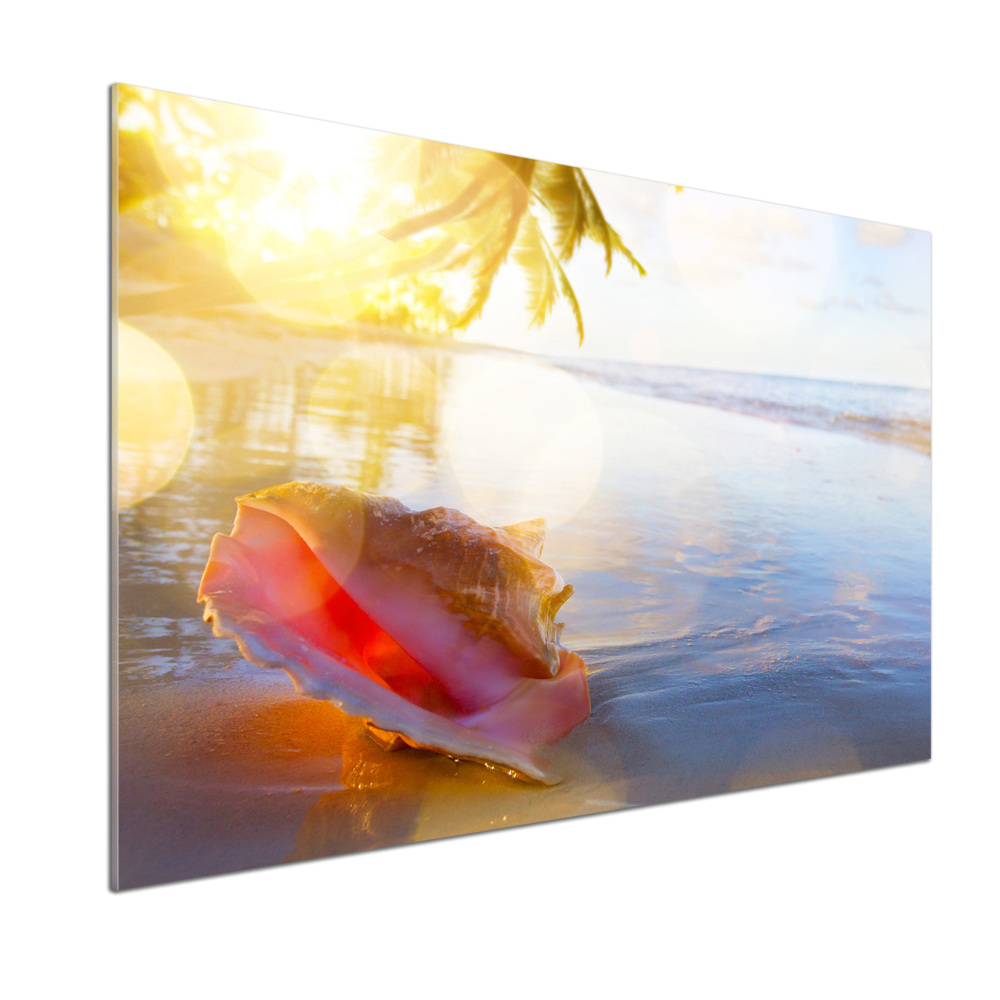 Cooker splashback Beach shell