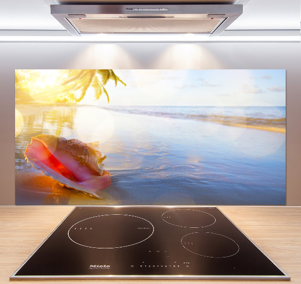 Cooker splashback Beach shell