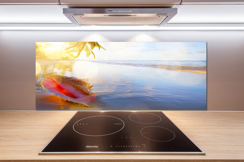 Cooker splashback Beach shell