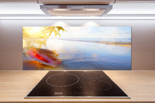 Cooker splashback Beach shell