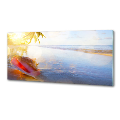 Cooker splashback Beach shell