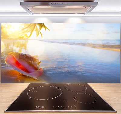 Cooker splashback Beach shell