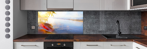 Cooker splashback Beach shell