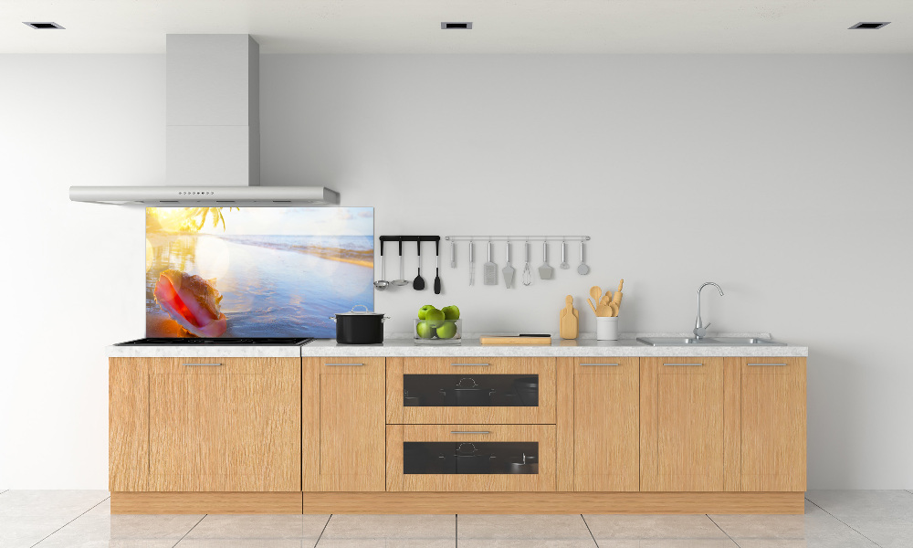 Cooker splashback Beach shell