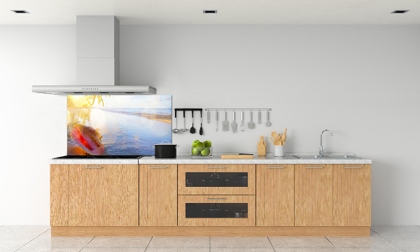 Cooker splashback Beach shell