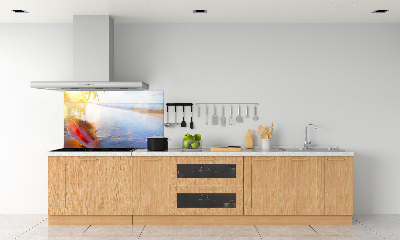 Cooker splashback Beach shell