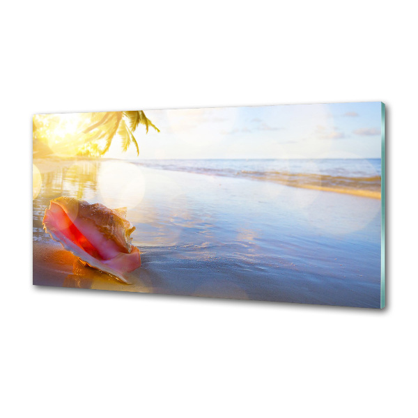 Cooker splashback Beach shell