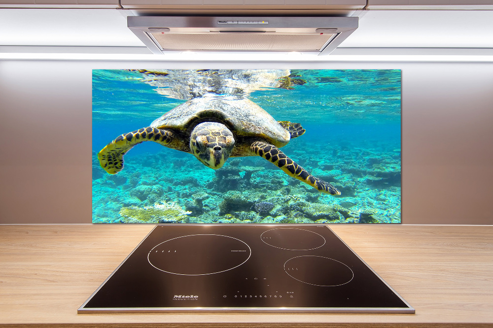 Cooker splashback Sea turtle