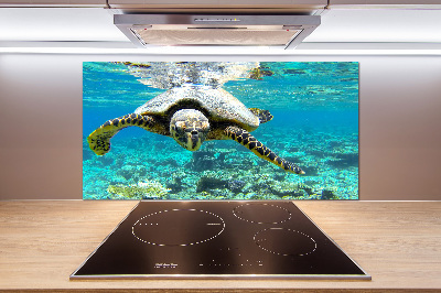 Cooker splashback Sea turtle