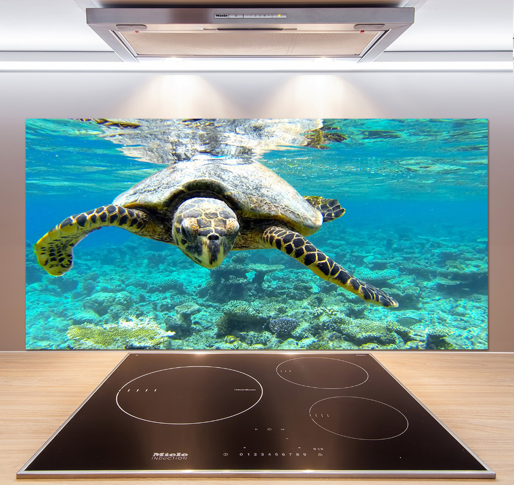 Cooker splashback Sea turtle