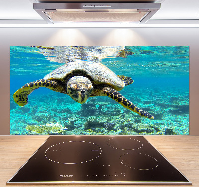 Cooker splashback Sea turtle