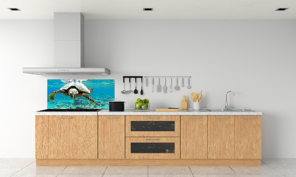 Cooker splashback Sea turtle