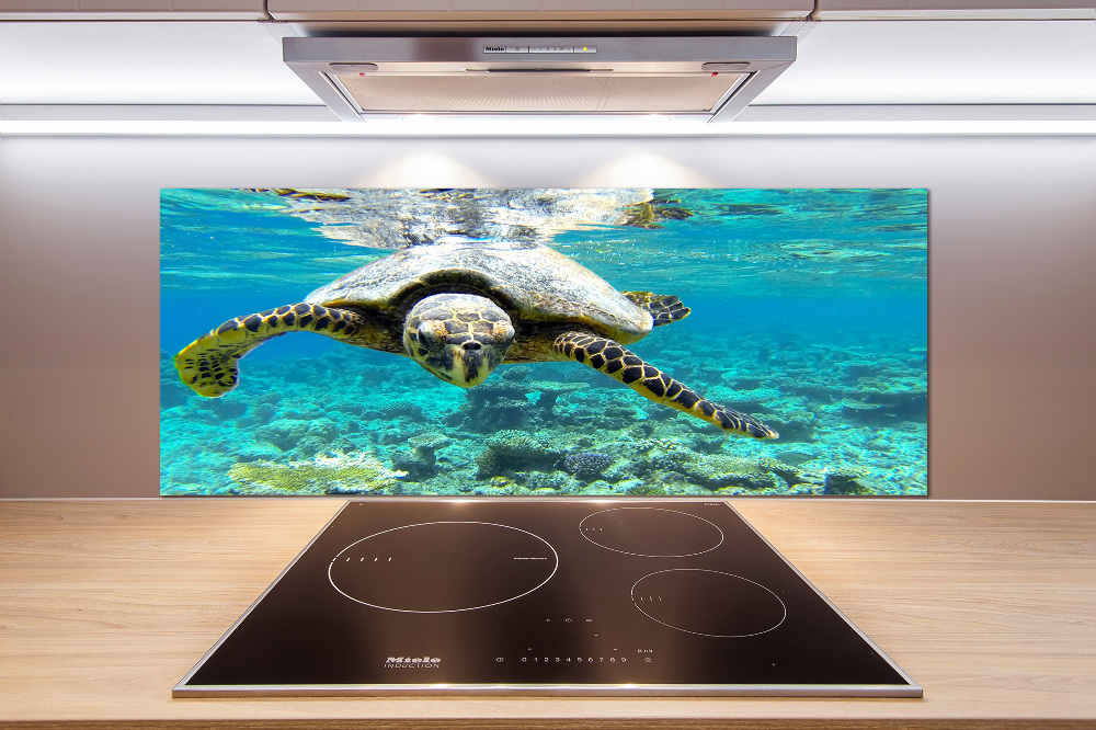 Cooker splashback Sea turtle