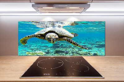 Cooker splashback Sea turtle