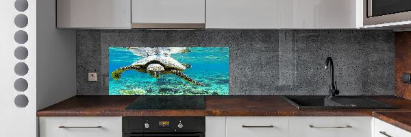 Cooker splashback Sea turtle