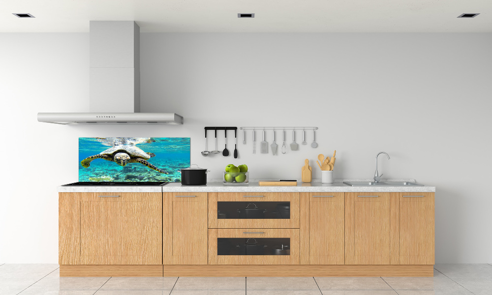 Cooker splashback Sea turtle