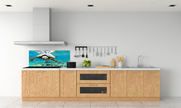 Cooker splashback Sea turtle