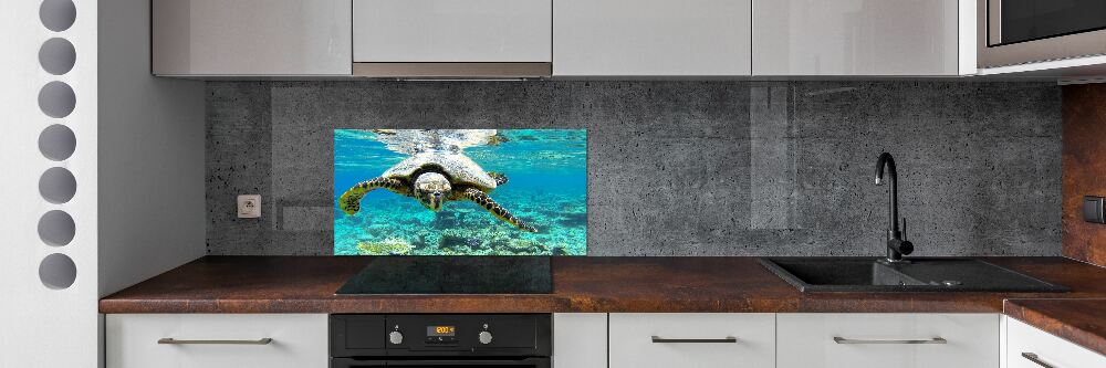 Cooker splashback Sea turtle