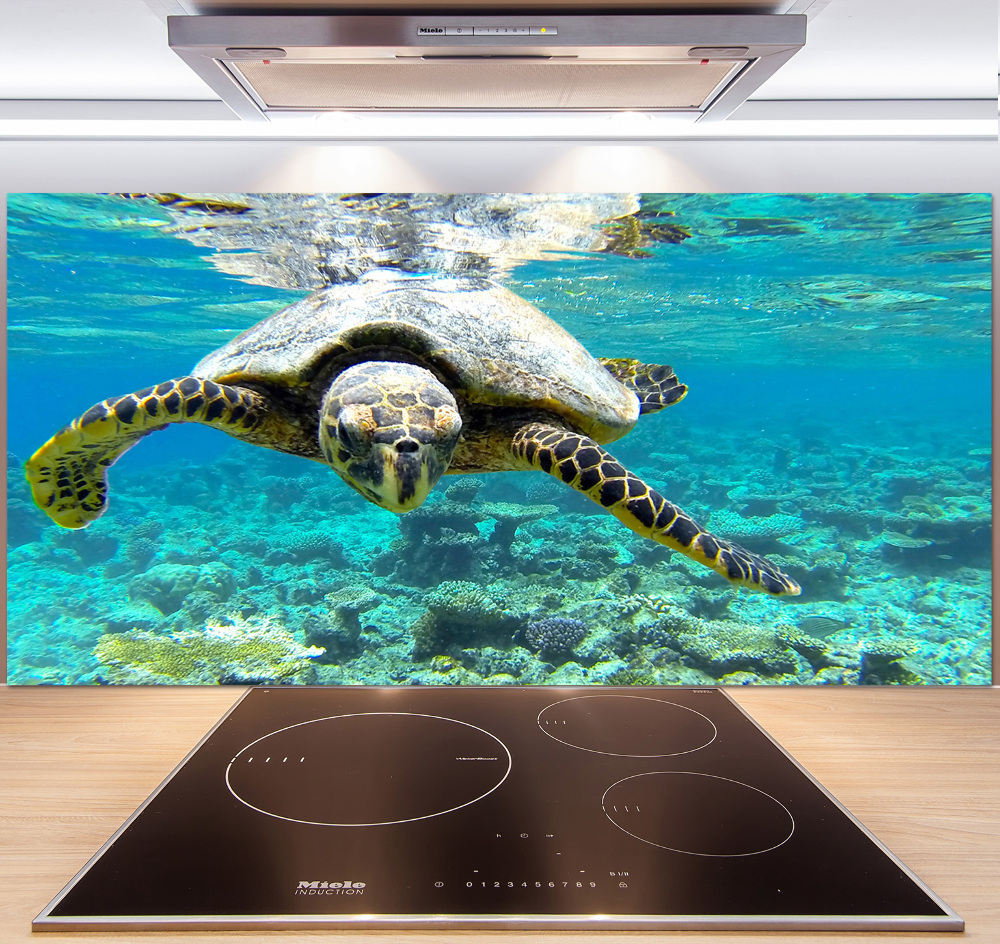 Cooker splashback Sea turtle