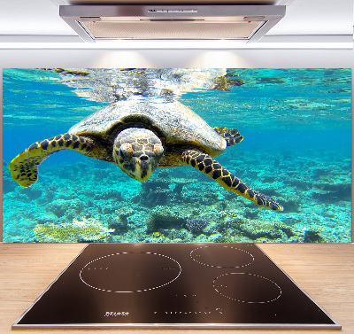 Cooker splashback Sea turtle