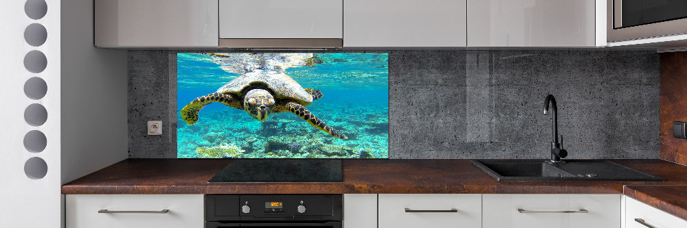 Cooker splashback Sea turtle