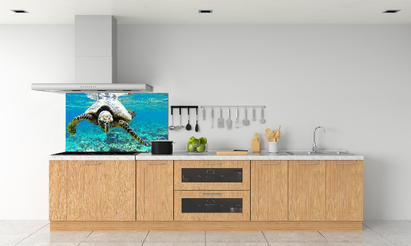 Cooker splashback Sea turtle