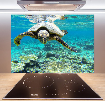 Cooker splashback Sea turtle