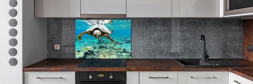 Cooker splashback Sea turtle