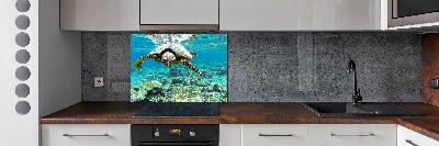 Cooker splashback Sea turtle