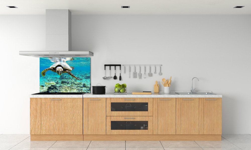 Cooker splashback Sea turtle