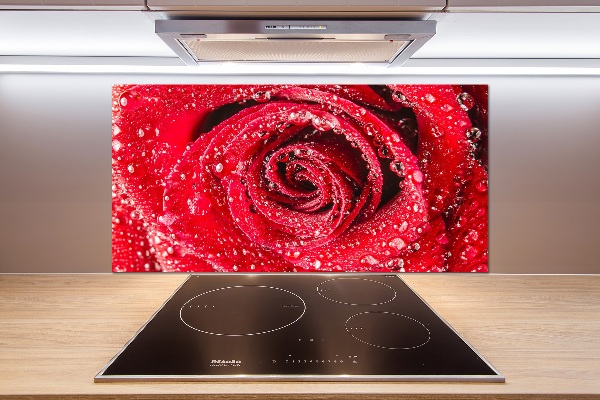 Cooker splashback Drops of water on rose