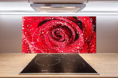 Cooker splashback Drops of water on rose