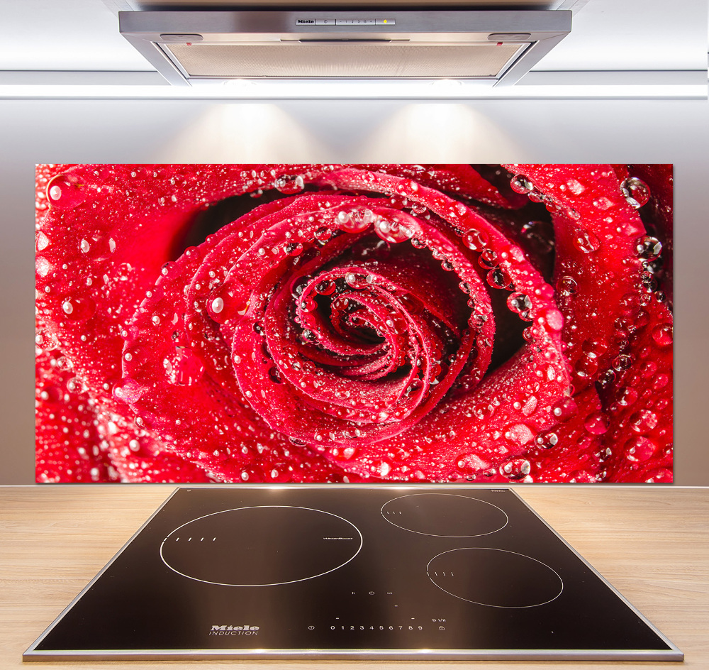 Cooker splashback Drops of water on rose