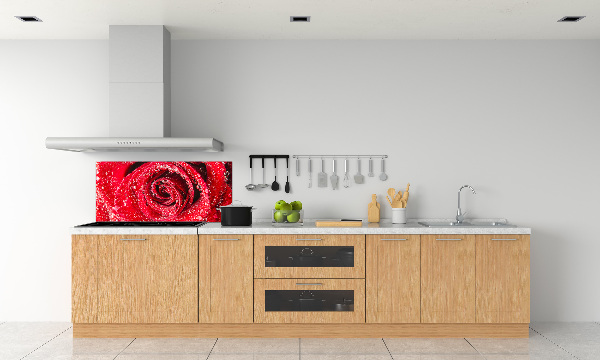 Cooker splashback Drops of water on rose