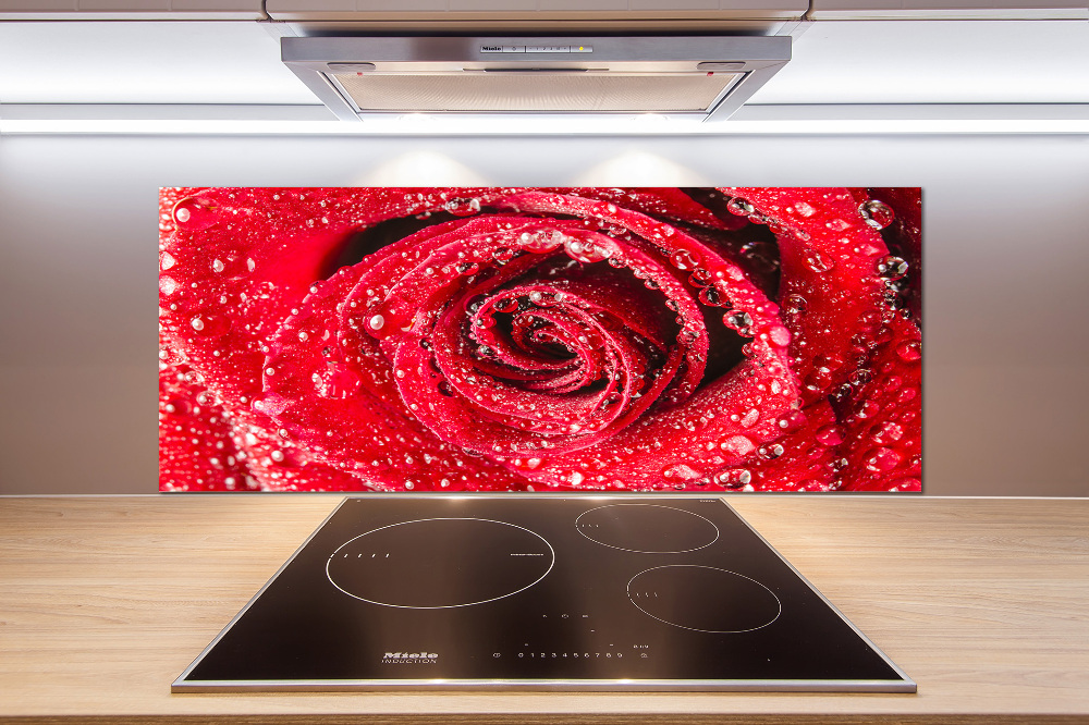 Cooker splashback Drops of water on rose