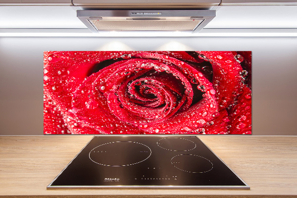 Cooker splashback Drops of water on rose