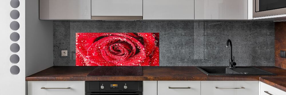 Cooker splashback Drops of water on rose