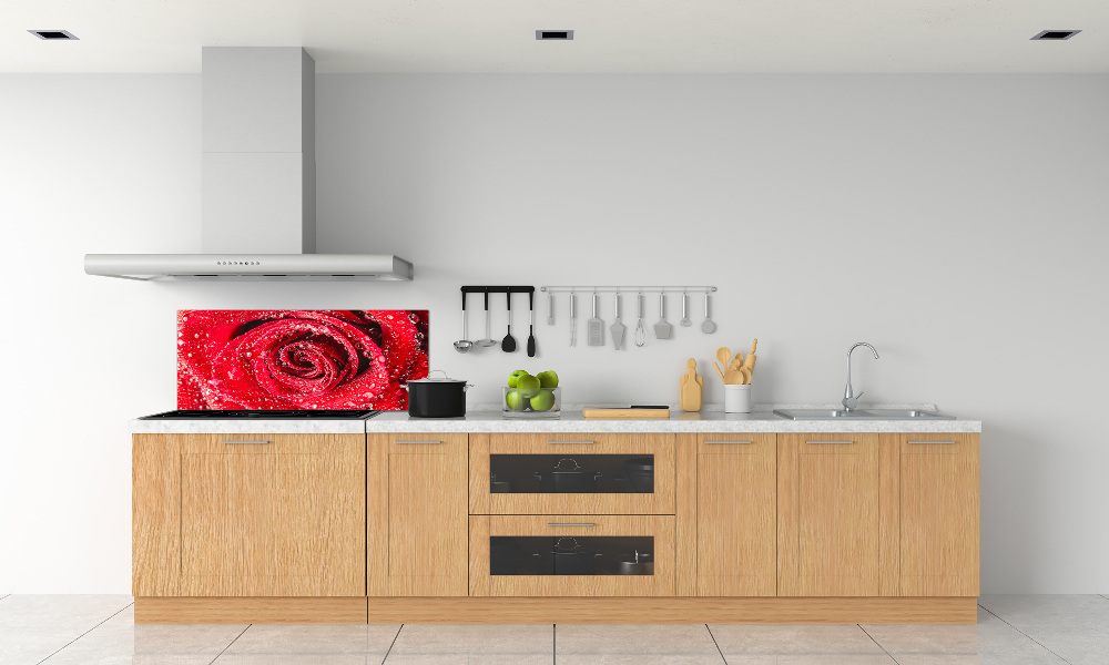 Cooker splashback Drops of water on rose