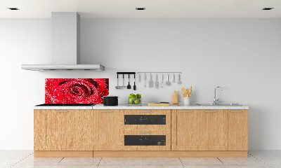 Cooker splashback Drops of water on rose