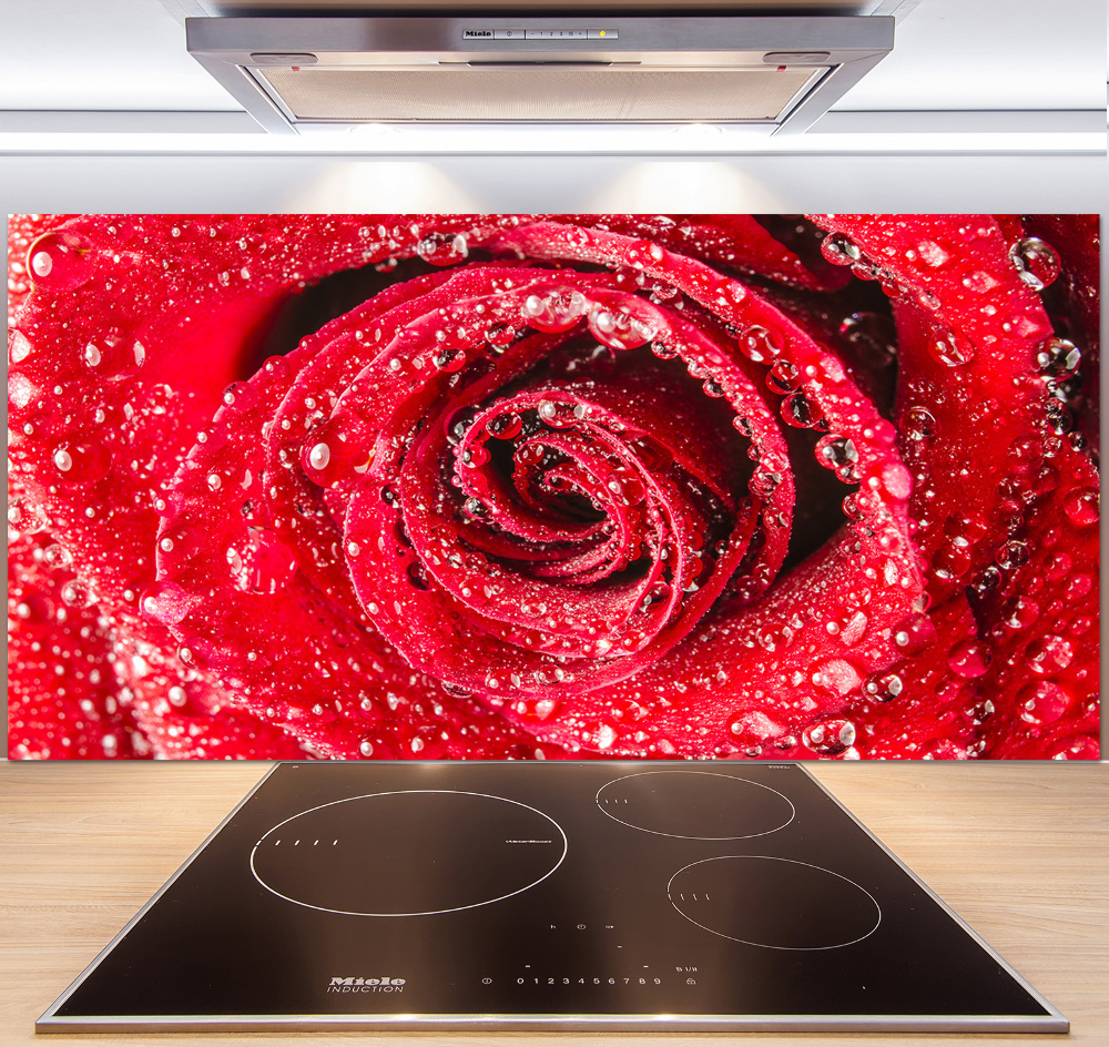 Cooker splashback Drops of water on rose