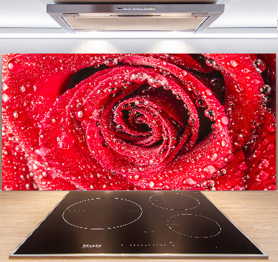 Cooker splashback Drops of water on rose