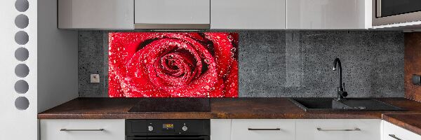 Cooker splashback Drops of water on rose