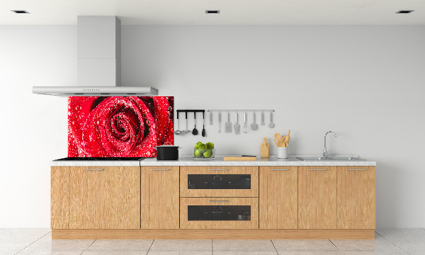 Cooker splashback Drops of water on rose