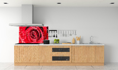 Cooker splashback Drops of water on rose