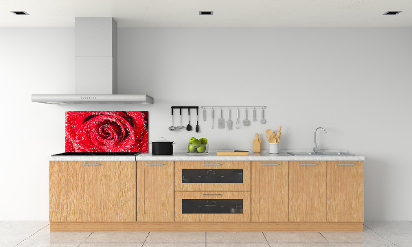 Cooker splashback Drops of water on rose