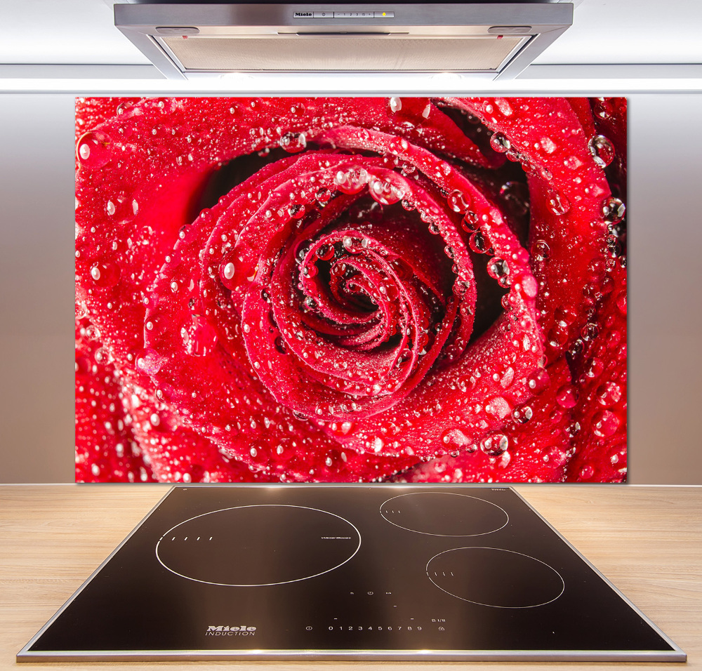 Cooker splashback Drops of water on rose