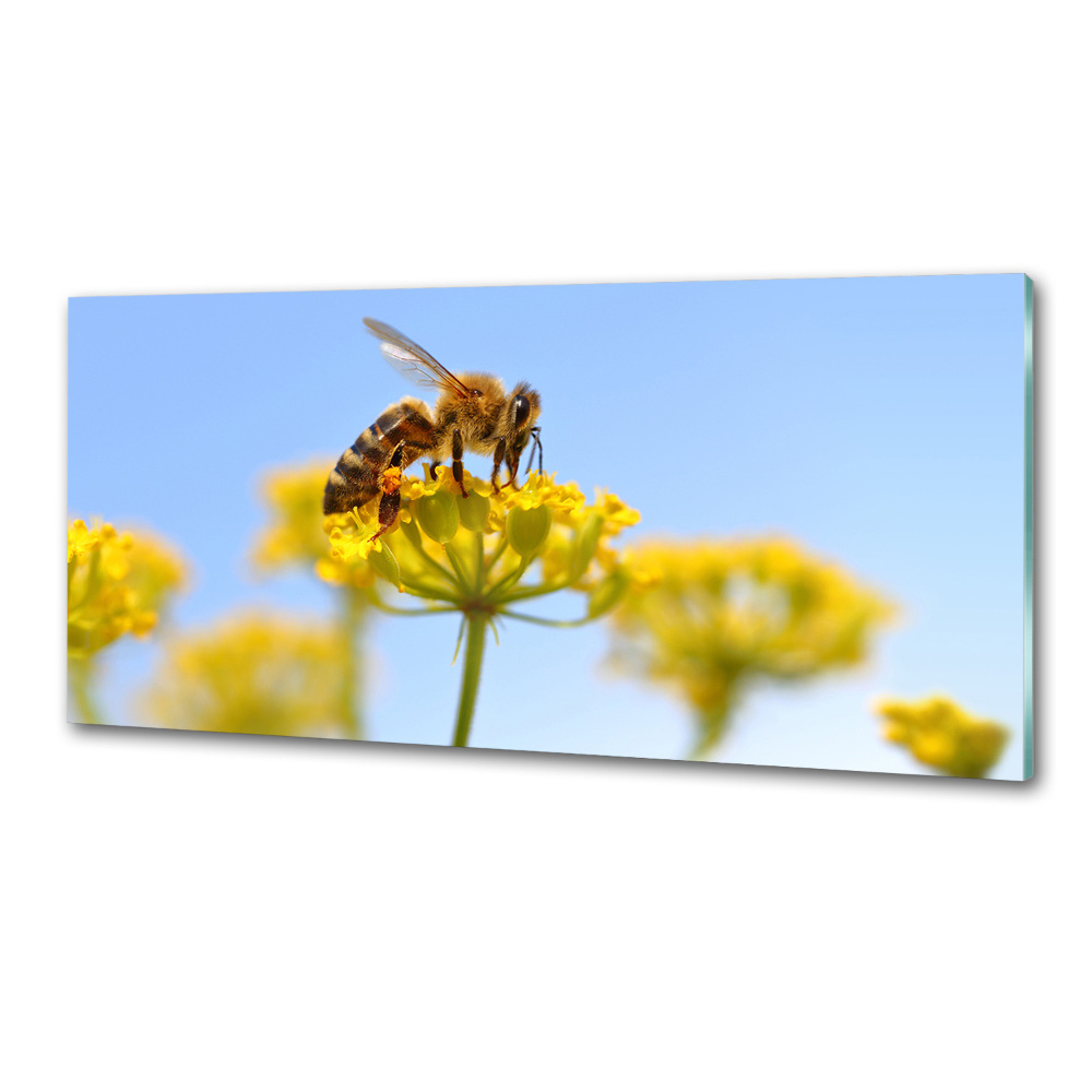 Cooker splashback Bee on a flower