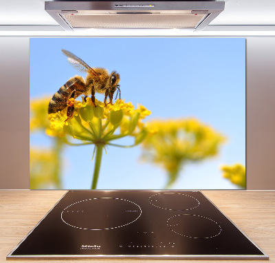 Cooker splashback Bee on a flower