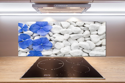 Cooker splashback Hydrangea